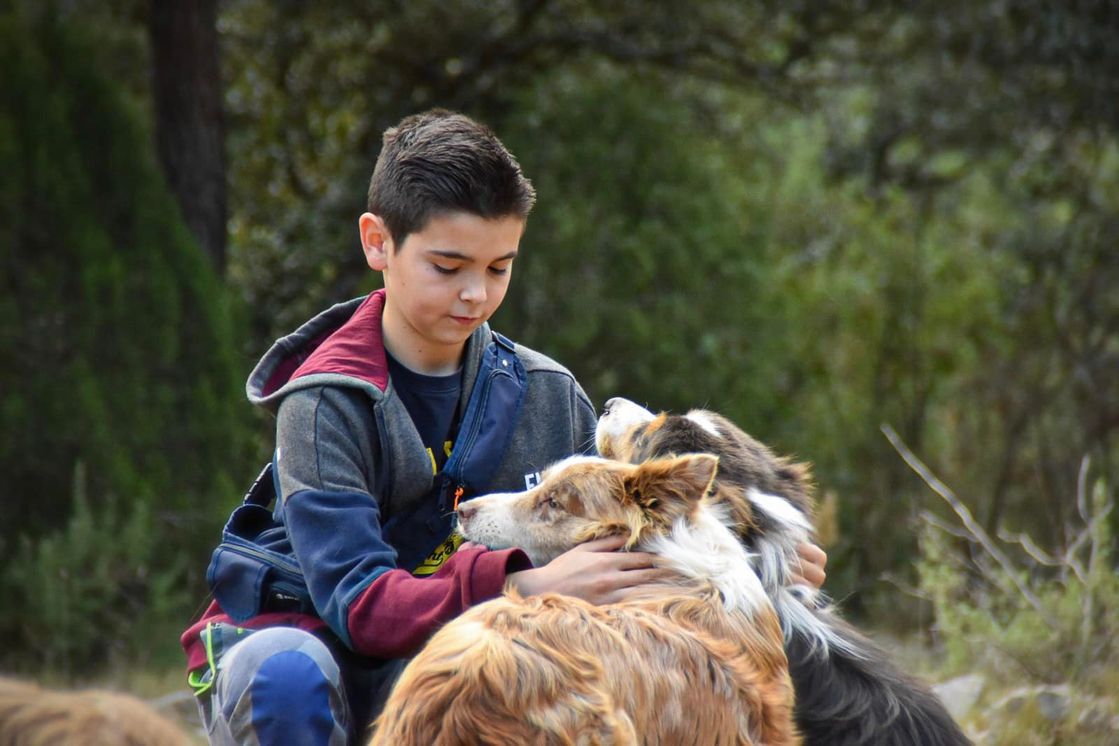 Border Collie Los Baganes niño con mascotas