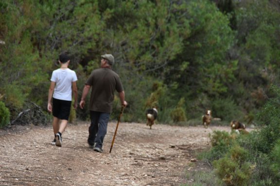 Nuestros paseos